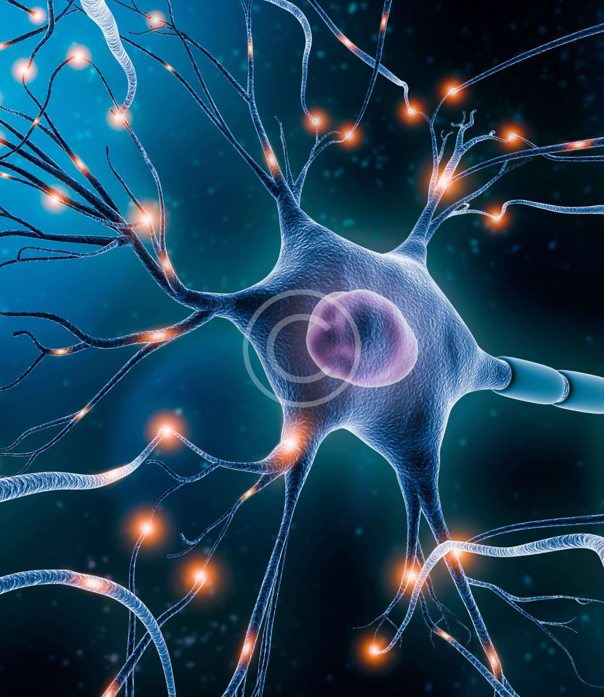 Neuromodulación NESA